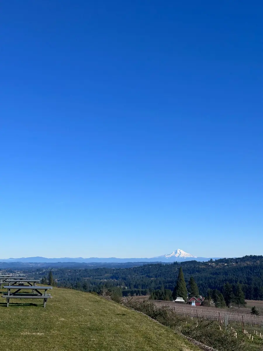 Mount Hood from a Willamette Valley winery
