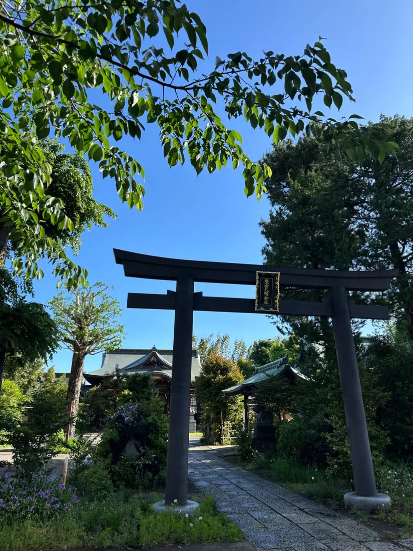 Torii gate, Japan